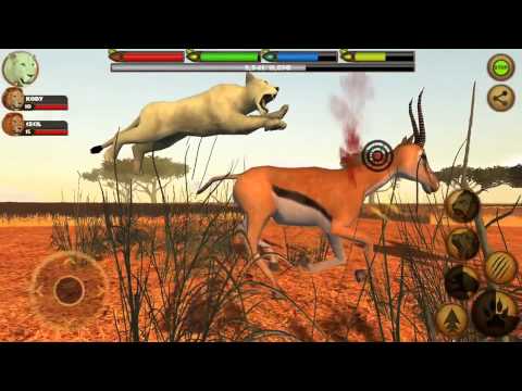 ultimate lion simulator 3d